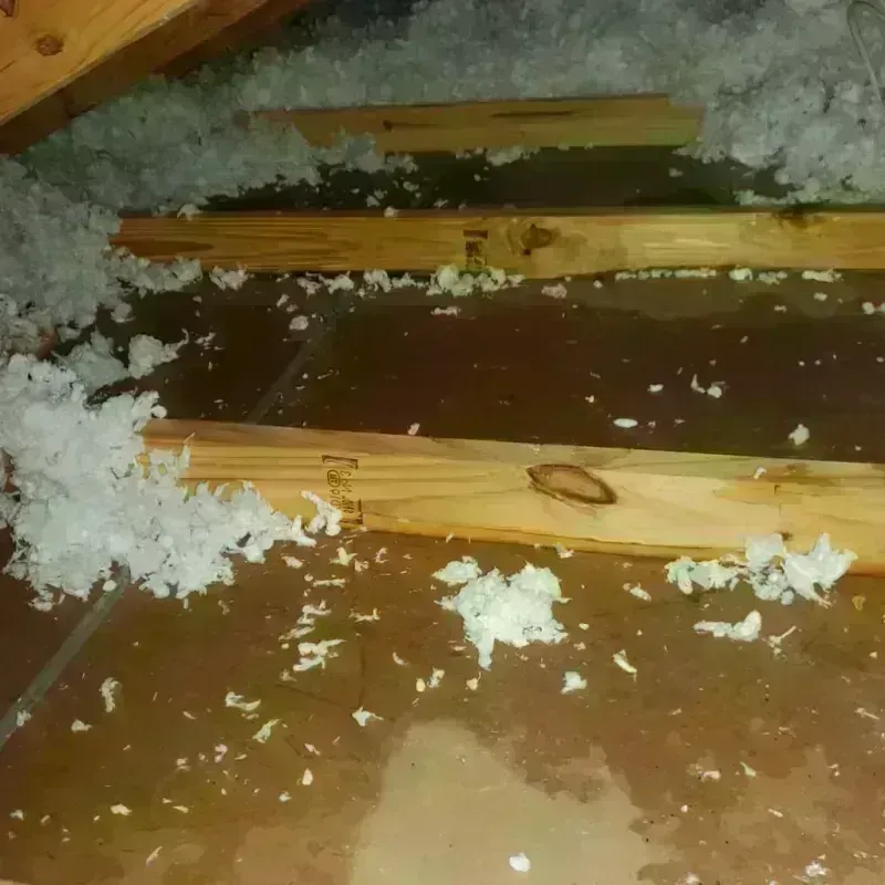 Attic Water Damage in Elmore, AL