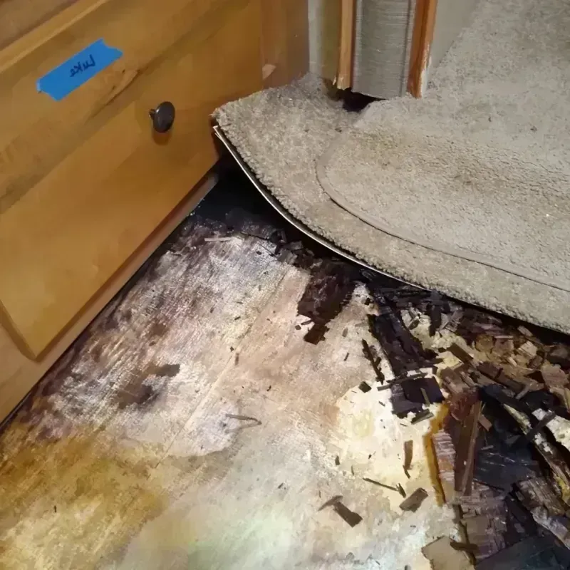 Wood Floor Water Damage in Elmore, AL